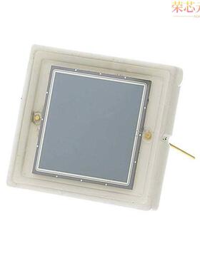 RD100A原装「10X10 MM FULLY DEPLETED, HIGH EN」正品