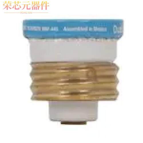 T-4/10原装「FUSE TRON DUAL ELEMENT」正品