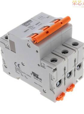 1020022原装「CIRCUIT BRAKER 8A」正品