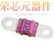 LINK」正品 153.7010.6102原装 100A 32VDC 「FUSE AUTO