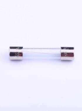 6G.2000210000S1原装「一次性保险丝250V 2A」正品