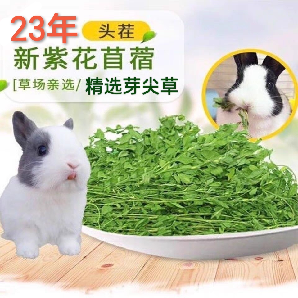 烘干紫花苜蓿草兔子粮饲料龙猫荷兰猪豚鼠兔兔牧草干草毛重一公斤