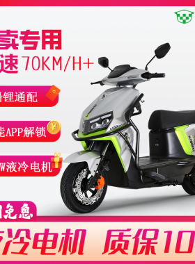 绿源电动车S33外卖专用车国标电动摩托车高速车TCS防侧滑踏板车