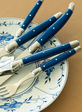 法国进口餐具André Verdier 拉吉奥乐咖啡勺多巴胺色餐刀餐叉