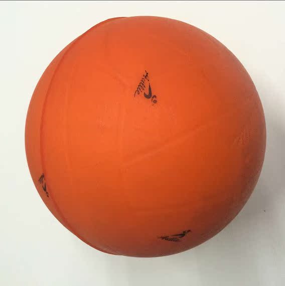 Ballon de volley - Ref 2013763 Image 3