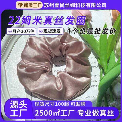 真丝发圈22姆米丝绸6CM大号桑蚕丝大肠发圈发绳跨境批发护发