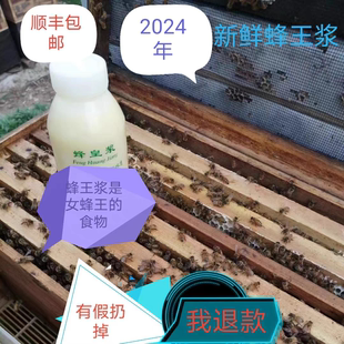 2024年新鲜油菜春浆纯正蜂王浆天然自产新鲜蜂皇浆500g小严蜜坊