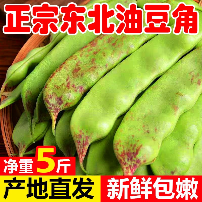 东北油豆角扁豆角一点红九月青图片