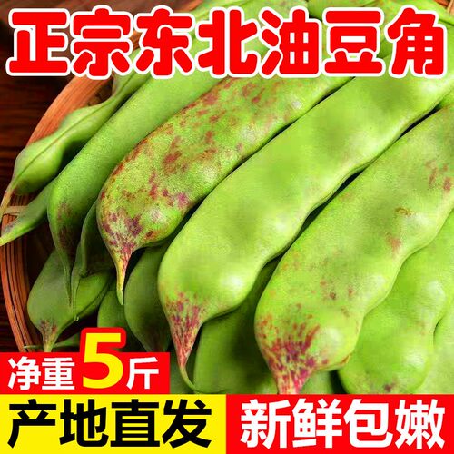 东北油豆角扁豆角一点红九月青