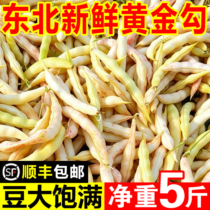 【顺丰速运】现摘东北黄金勾豆角
