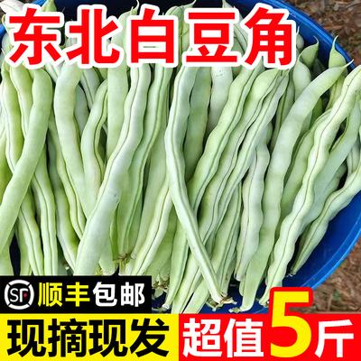 东北白豆角新鲜蔬菜农家白不老芸豆白大架豆角四季豆现摘顺丰包邮