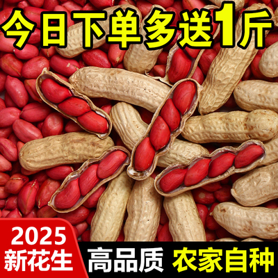 2025红皮花生米生新货新鲜晒干带壳花生种子散装四粒红衣花生5斤