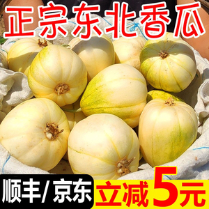 东北香瓜白糖罐脆甜多汁新鲜应季小甜瓜孕妇水果新鲜5斤顺丰包邮