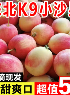 东北k9沙果小苹果新鲜水果海棠果非鸡心果孕妇水果酸脆口5斤包邮