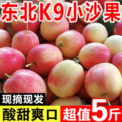 东北k9沙果小苹果新鲜水果海棠果非鸡心果孕妇水果酸脆口5斤包邮