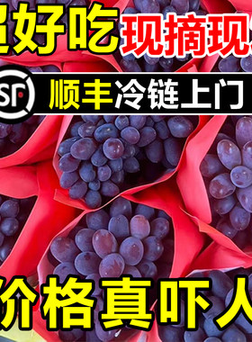 【顺丰包邮】现摘茉莉香葡萄新鲜