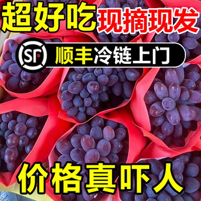 【顺丰包邮】现摘茉莉香葡萄新鲜