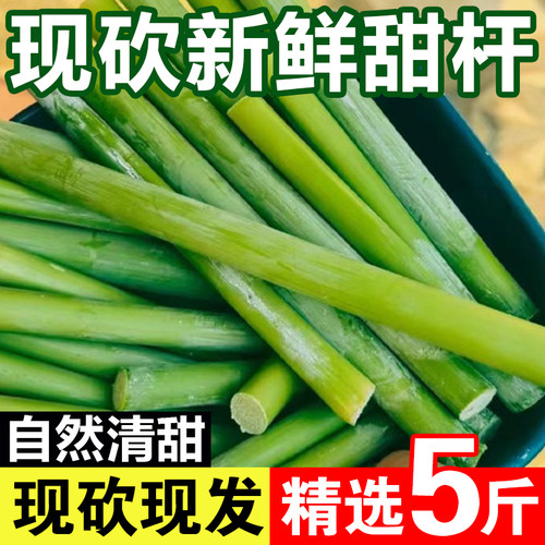 正宗甜杆高粱杆新鲜应季孕妇水果现砍小甘蔗甜芦杆甜芦粟包邮5斤