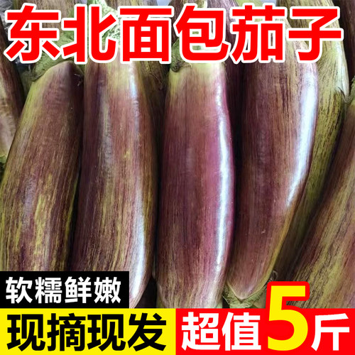 东北花茄子新鲜现摘蔬菜烧烤面包茄子特产农家自种当季青茄子5斤