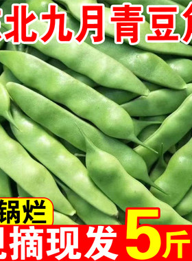 【现摘现发】东北九月青油豆角