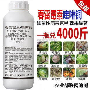 春雷霉素喹啉铜酮蕾柑橘桃树溃疡黄瓜角斑流胶病农药杀菌剂专用药