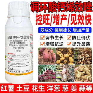 调环酸钙烯效唑水稻红薯玉米花生柑橘果树封梢控旺药生长调节剂