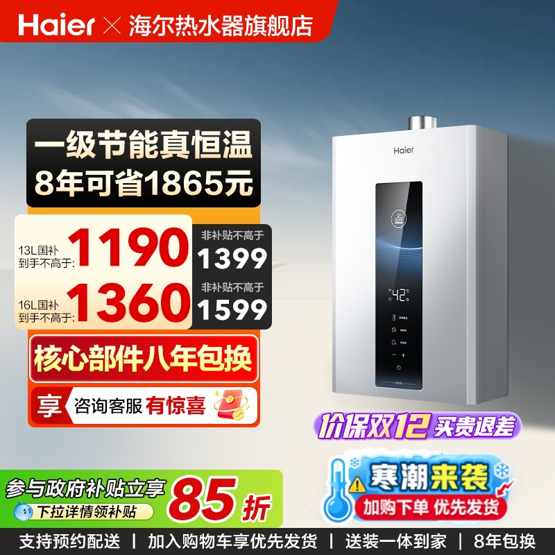 政府以旧换新海尔燃气天然气热水器一级节能水伺服恒温家用WM5PRO