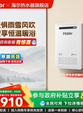海尔新品燃气热水器室外机KW5家用天然气密闭稳燃恒温防冻KW5PLUS