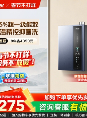 海尔燃气款热水器超一级能效增压水伺服零冷水16L升天然气ER3/E5