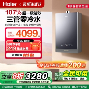 热水器家用静音增压超一级能效16L零冷水伺服ECO7 海尔官方燃气款