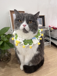 宠物手工编织猫咪项圈可爱针织围脖中小型犬装饰英短布偶狗狗围兜