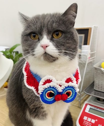 新年醒狮围脖圣诞宠物口水巾猫咪围巾狗帽子领结英短柯基比熊围嘴