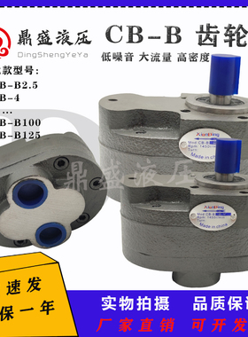齿轮泵CB-B6/B10/B4/B16/B20/B32/B50/B2.5液压油泵F润滑泵R锯床
