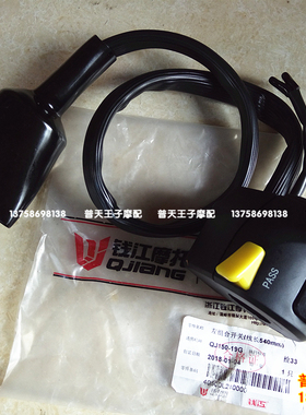 红宝龙BJ150-29B/19G/TNT150 左右开关 左右组合开关左右把座开关