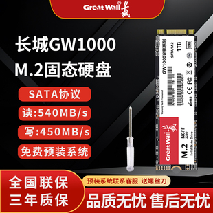 长城M2接口sata协议固态硬盘256g高速512GB台式 机笔记本电脑1tSSD