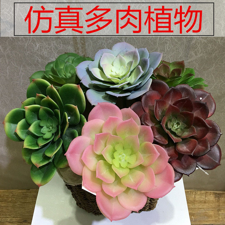 仿真粉色花艺摆放雪莲多肉植物