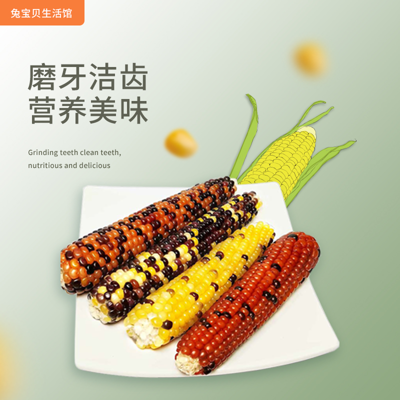 迷你小玉米 兔子仓鼠粮食磨牙棒  龙猫金丝熊花枝鼠天然零食玩具