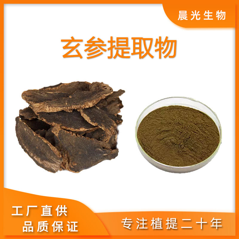 玄参提取物玄参植物浓缩粉精华粉末20:1送量勺天然植物专业提取包