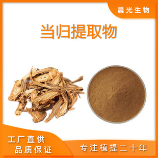 当归提取物 当归多糖粉 40% 天然当归藁本内酯提取物浓缩精华粉末