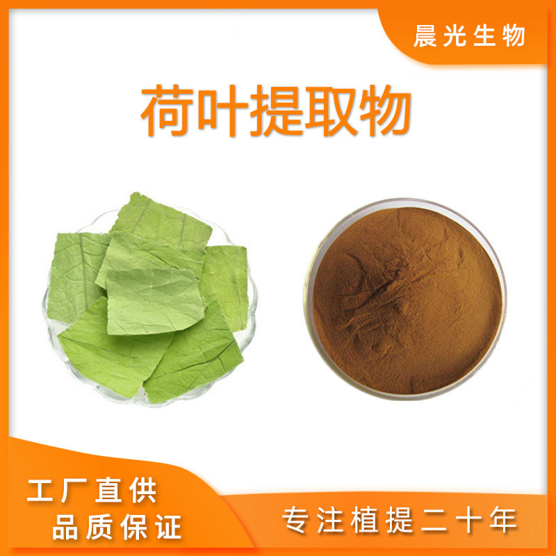 天然荷叶提取物 荷叶碱5%10%荷叶浓缩浸膏粉末20:1品质保证