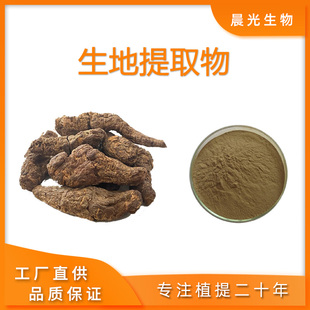 生地提取物 生地黄提取物浓缩粉末20:1地黄多糖60%厂家现发包邮