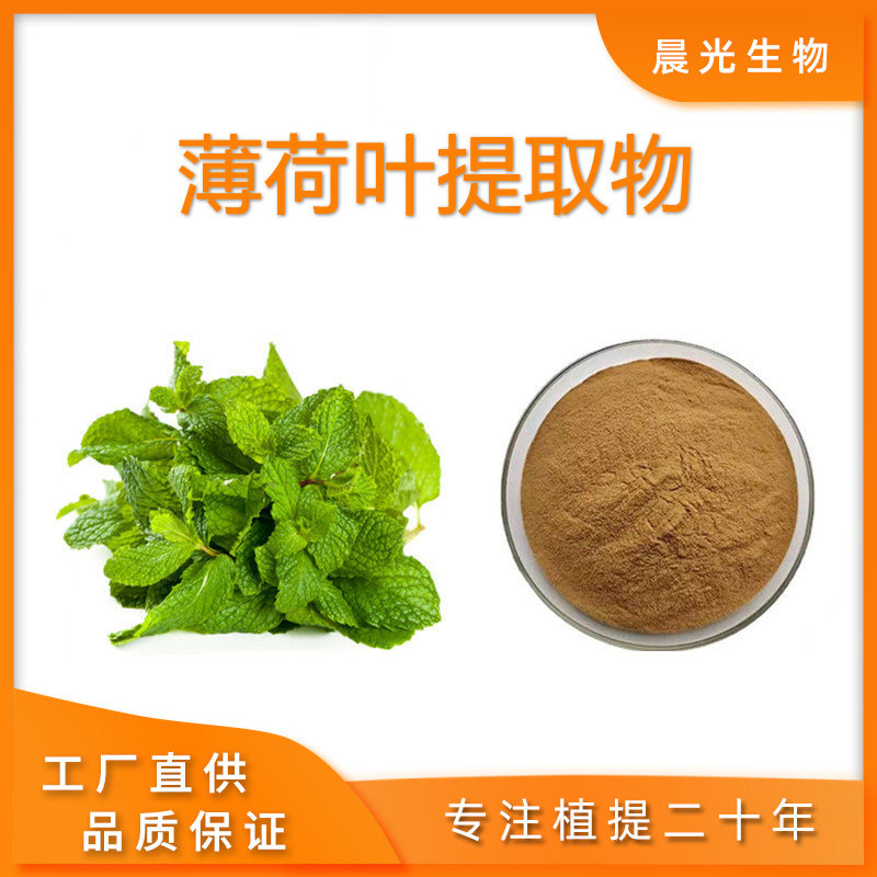 薄荷叶提取物 薄荷叶99% 水溶性原料粉末食用食品级工厂现发包邮