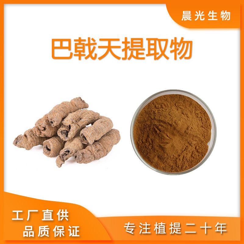 巴戟天提取物精华浓缩粉包邮