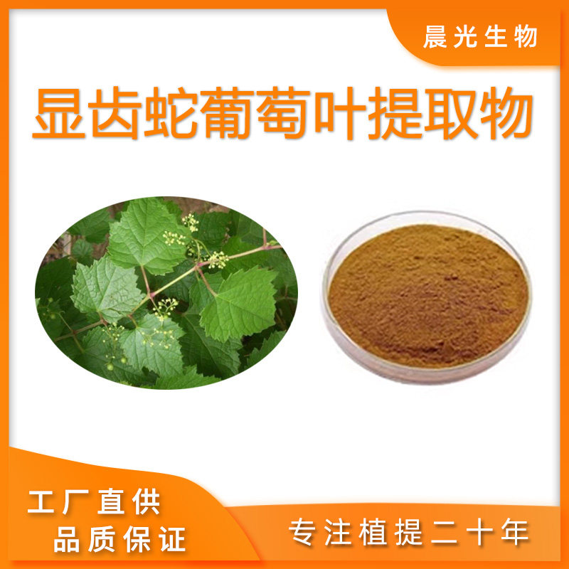 显齿蛇葡萄叶提取物 30:1显齿蛇葡萄叶粉浸膏浓缩粉末 100克 包邮
