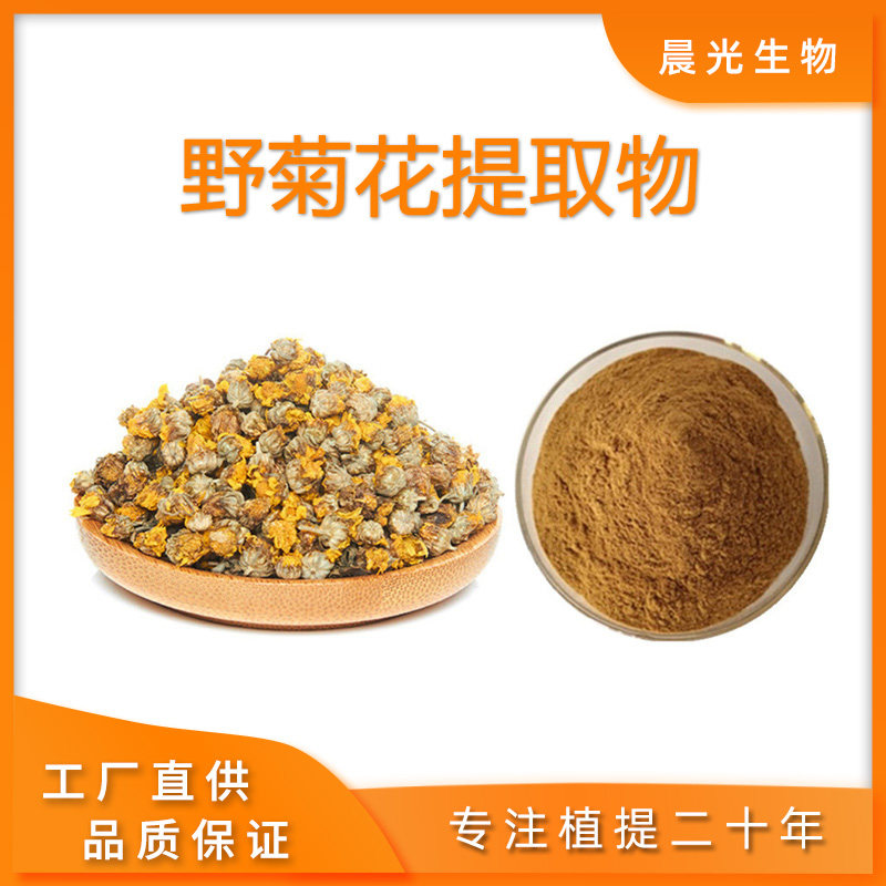菊花提取物 野菊花黄酮5%提取物粉末浓缩精华20:1送量勺现发包邮