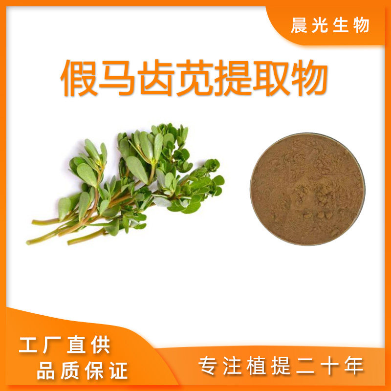 假马齿苋提取物 30:1精华浓缩粉末 假马齿苋天然提取物 现货送勺