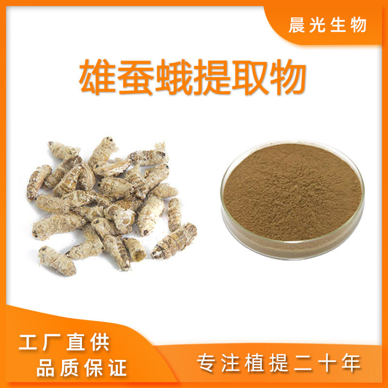 雄蚕蛾提取物 雄蚕蛾萃取浓缩粉末 天然提取物精华粉 未交配