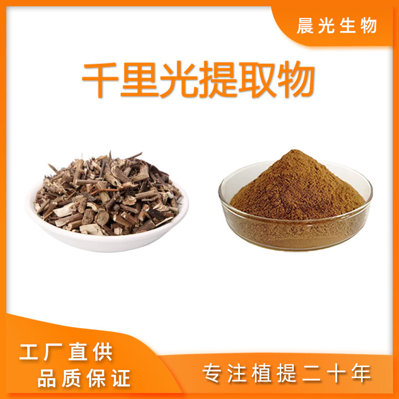 千里光提取物 高比例千里光 浓缩浸膏粉九里光提取粉末 专业工厂