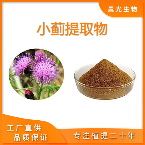 小蓟提取物浓缩粉水溶无残渣包邮