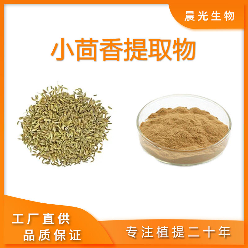 小茴香提取物 30:1茴香粉 土茴香萃取 水溶粉天然精华原料送量勺